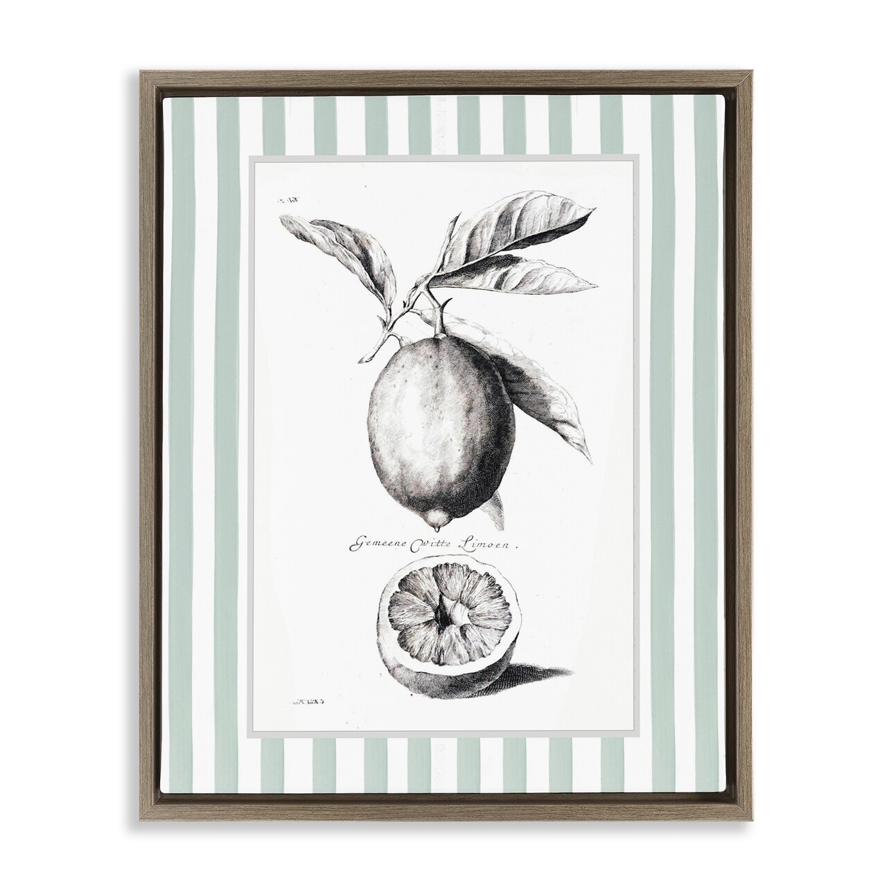 Stupell Industries Vintage Citrus Green Stripes Floating Frame, design by Lettered and Lined